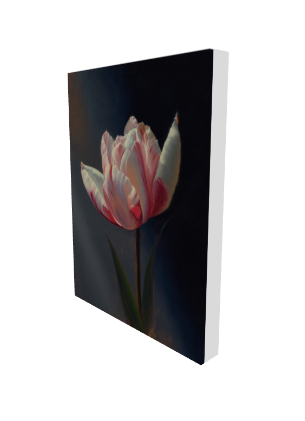 TULIP - Canvas Print 12″×16″