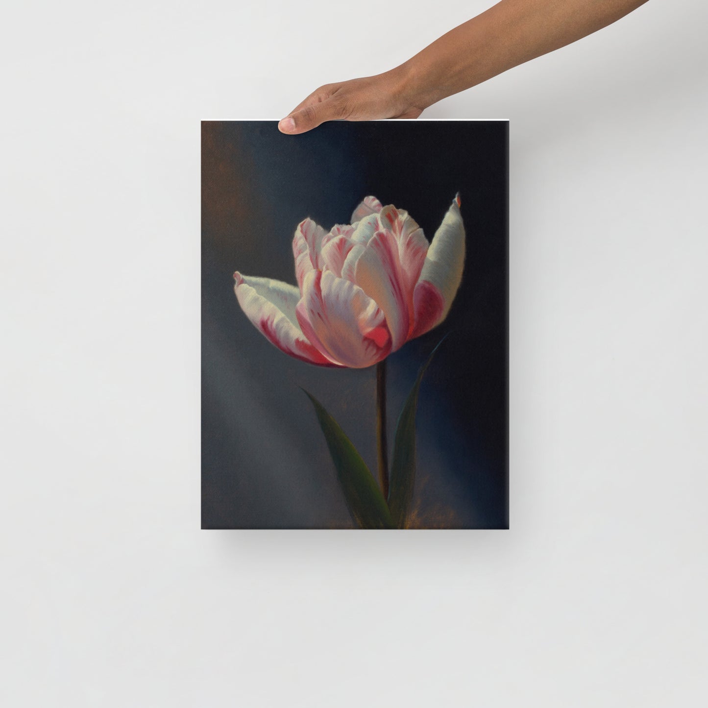 TULIP - Canvas Print 12″×16″