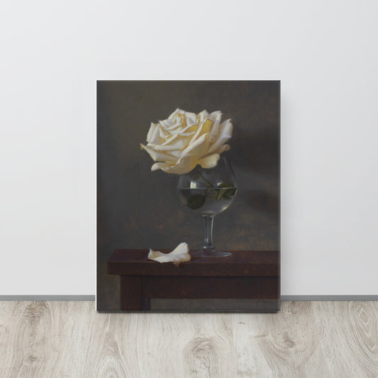 A WHITE ROSE'S TALE - CANVAS PRINT  16″×20″