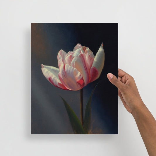 TULIP - Poster